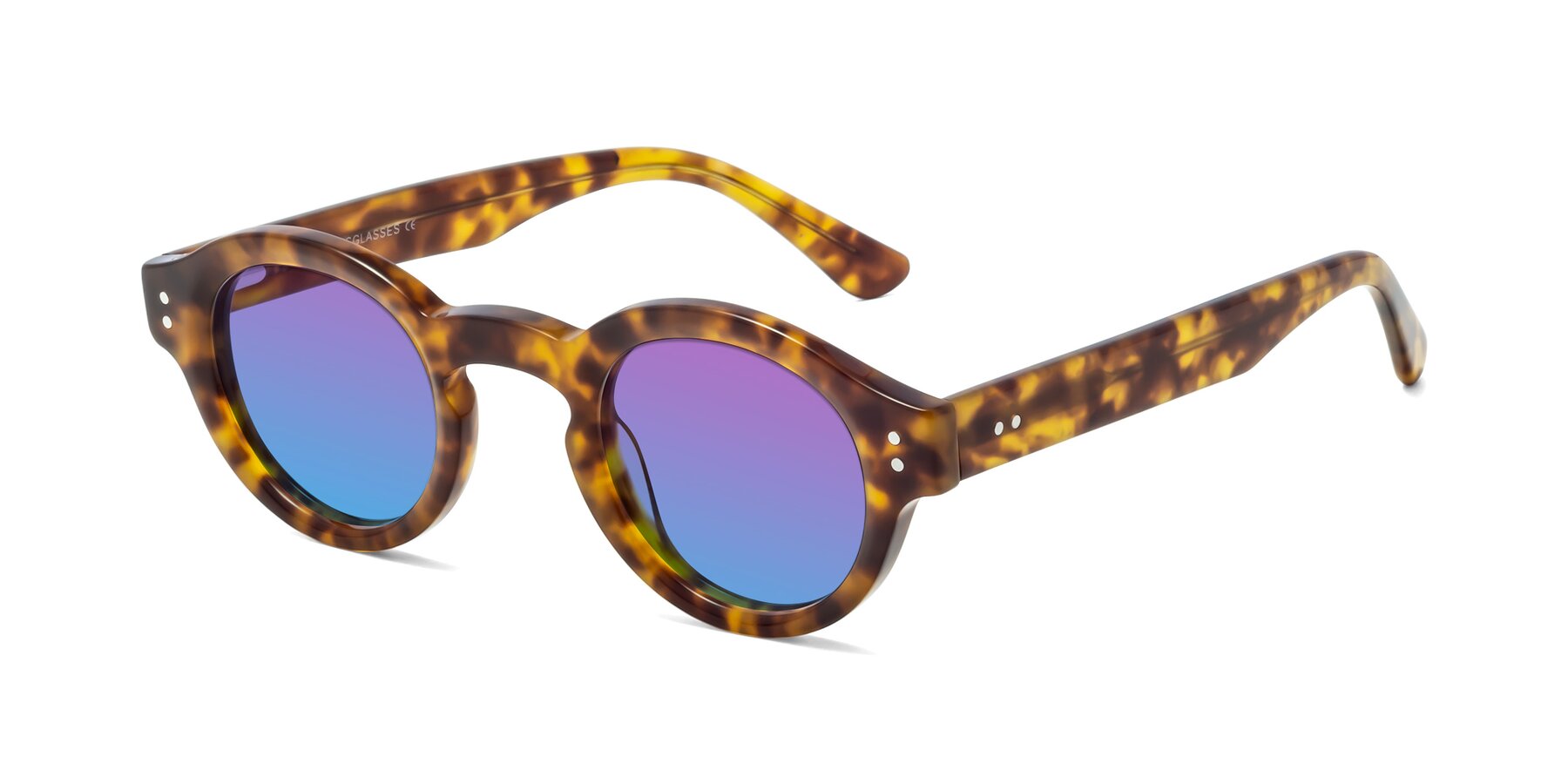 Angle of Pine in Tortoise with Purple / Blue Gradient Lenses