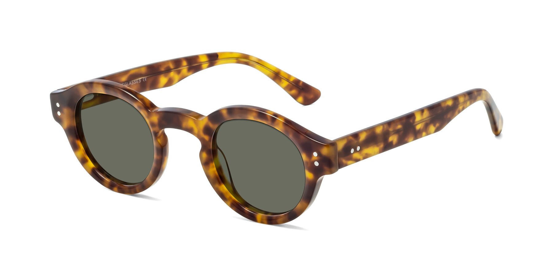 Angle of Pine in Tortoise with Gray Polarized Lenses