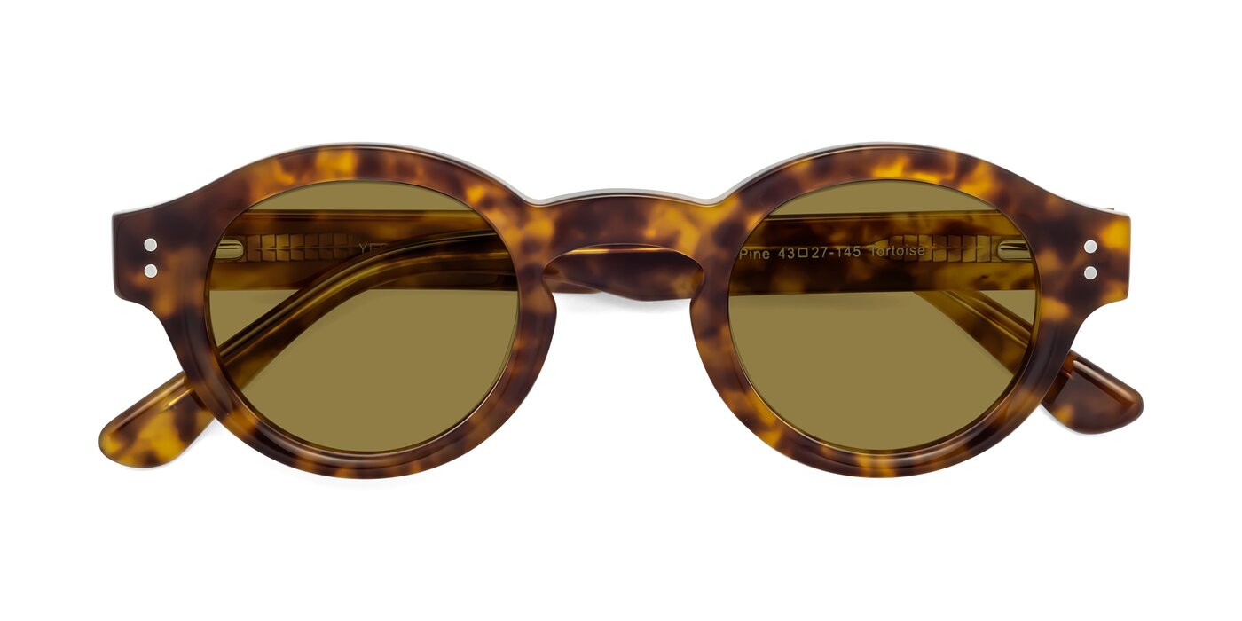 Pine - Tortoise Polarized Sunglasses