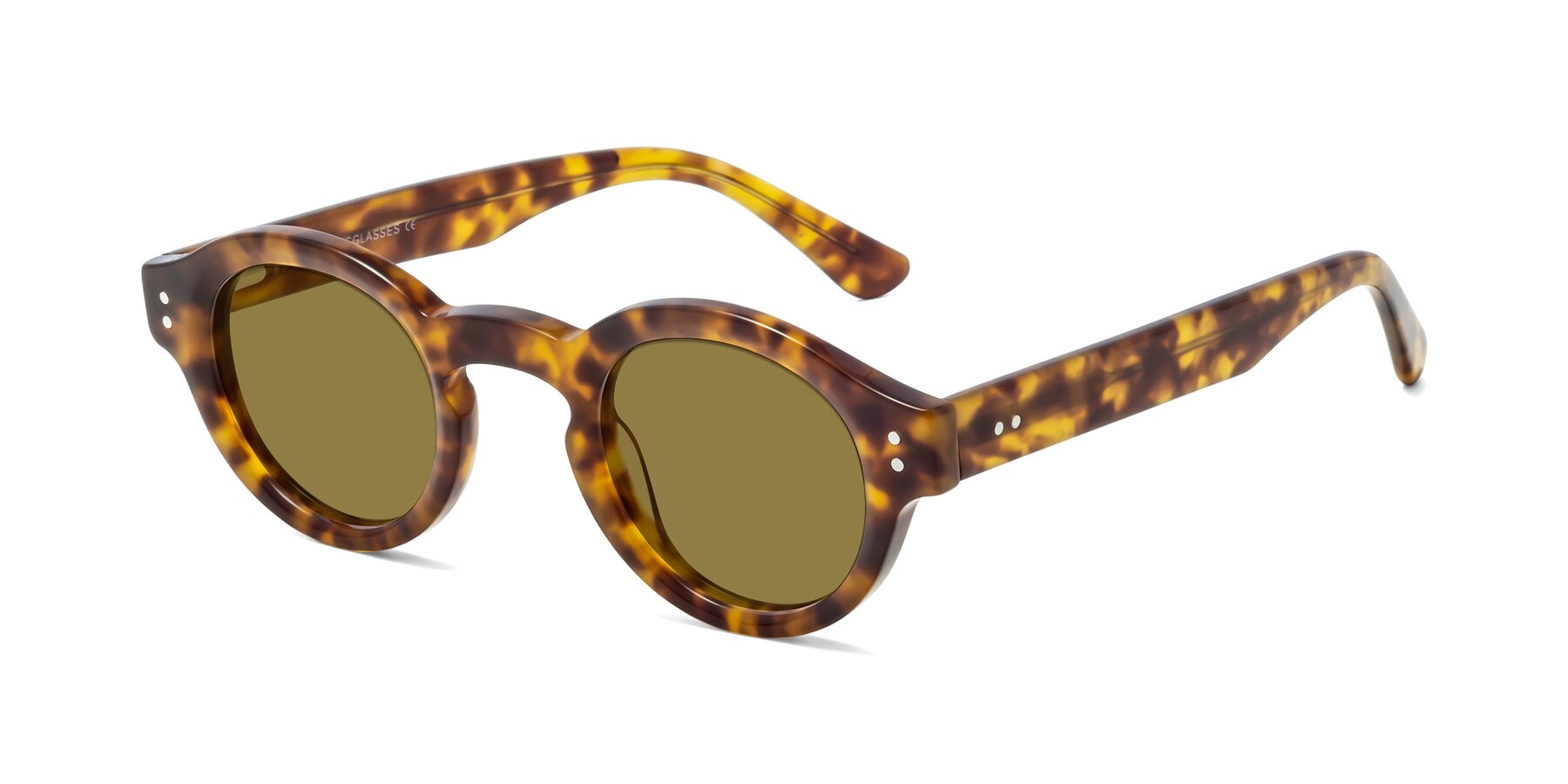 Angle of Pine in Tortoise with Brown Polarized Lenses