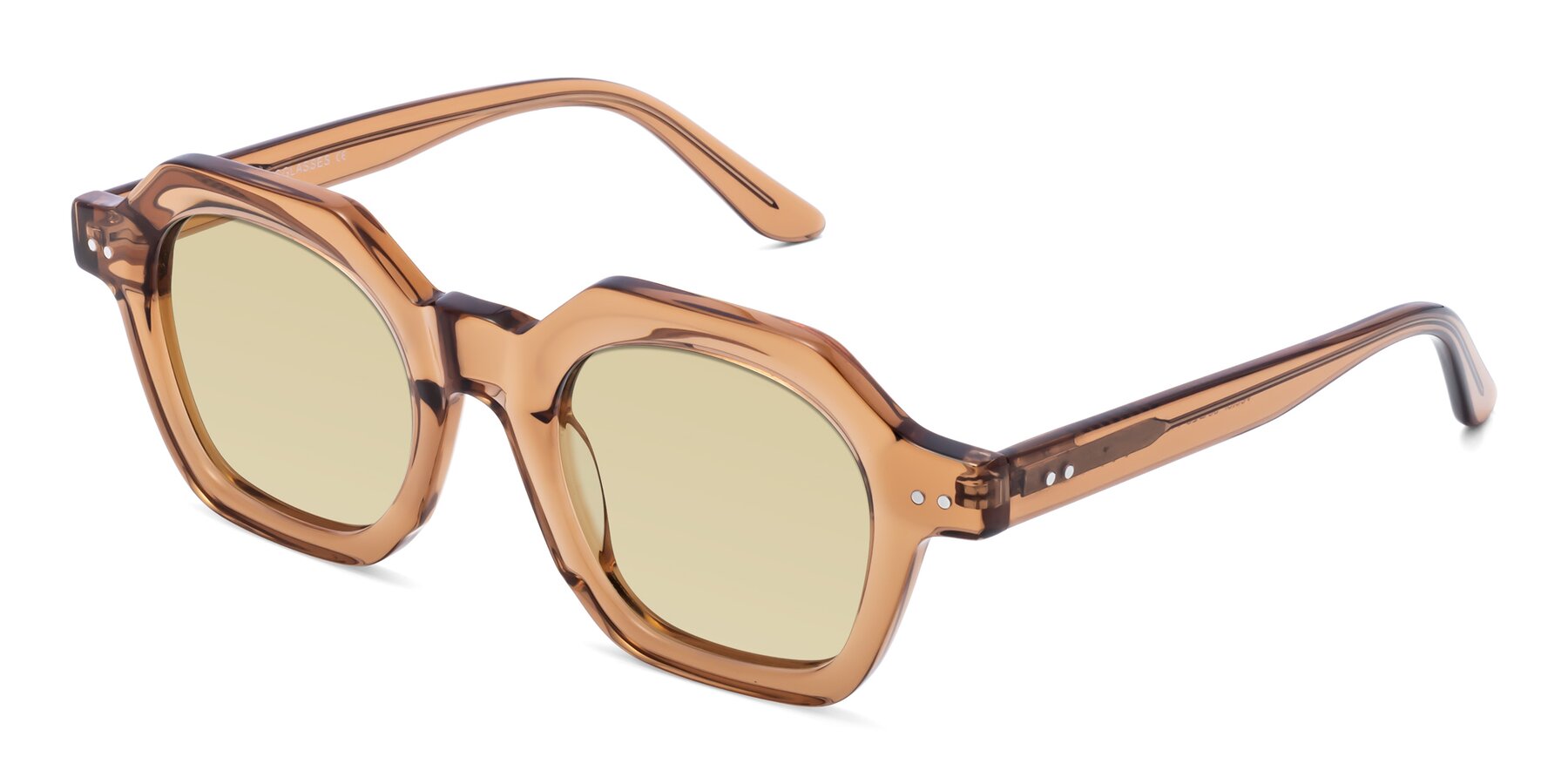 Angle of Vector in Brown with Light Champagne Tinted Lenses