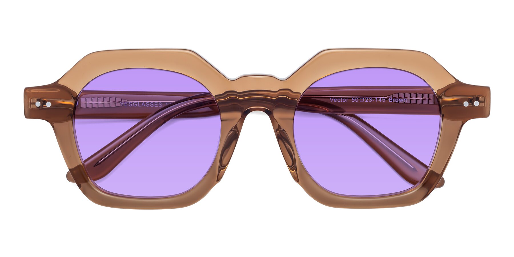 Folded Front of Vector in Brown with Medium Purple Tinted Lenses
