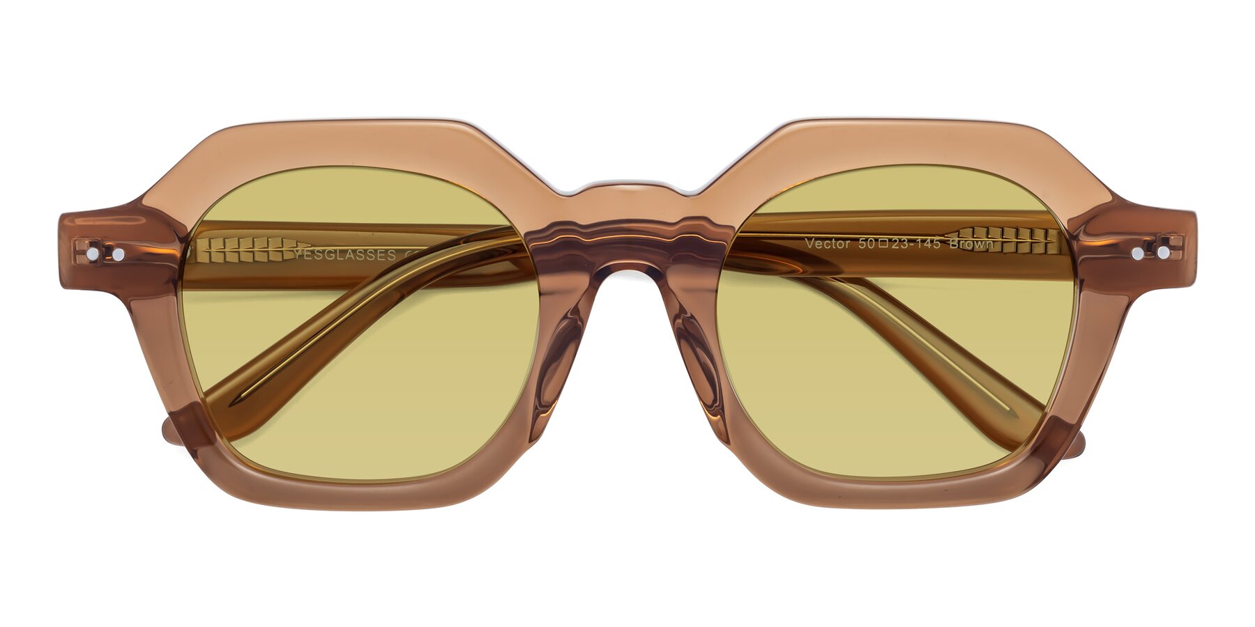 Folded Front of Vector in Brown with Medium Champagne Tinted Lenses
