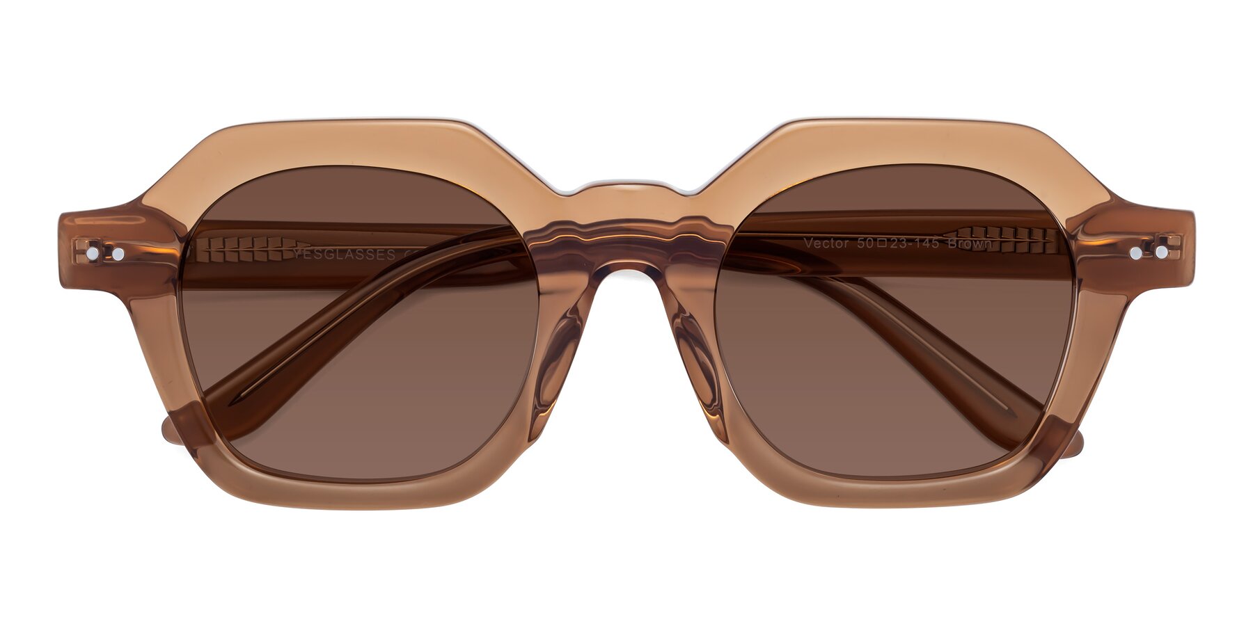 Folded Front of Vector in Brown with Brown Tinted Lenses