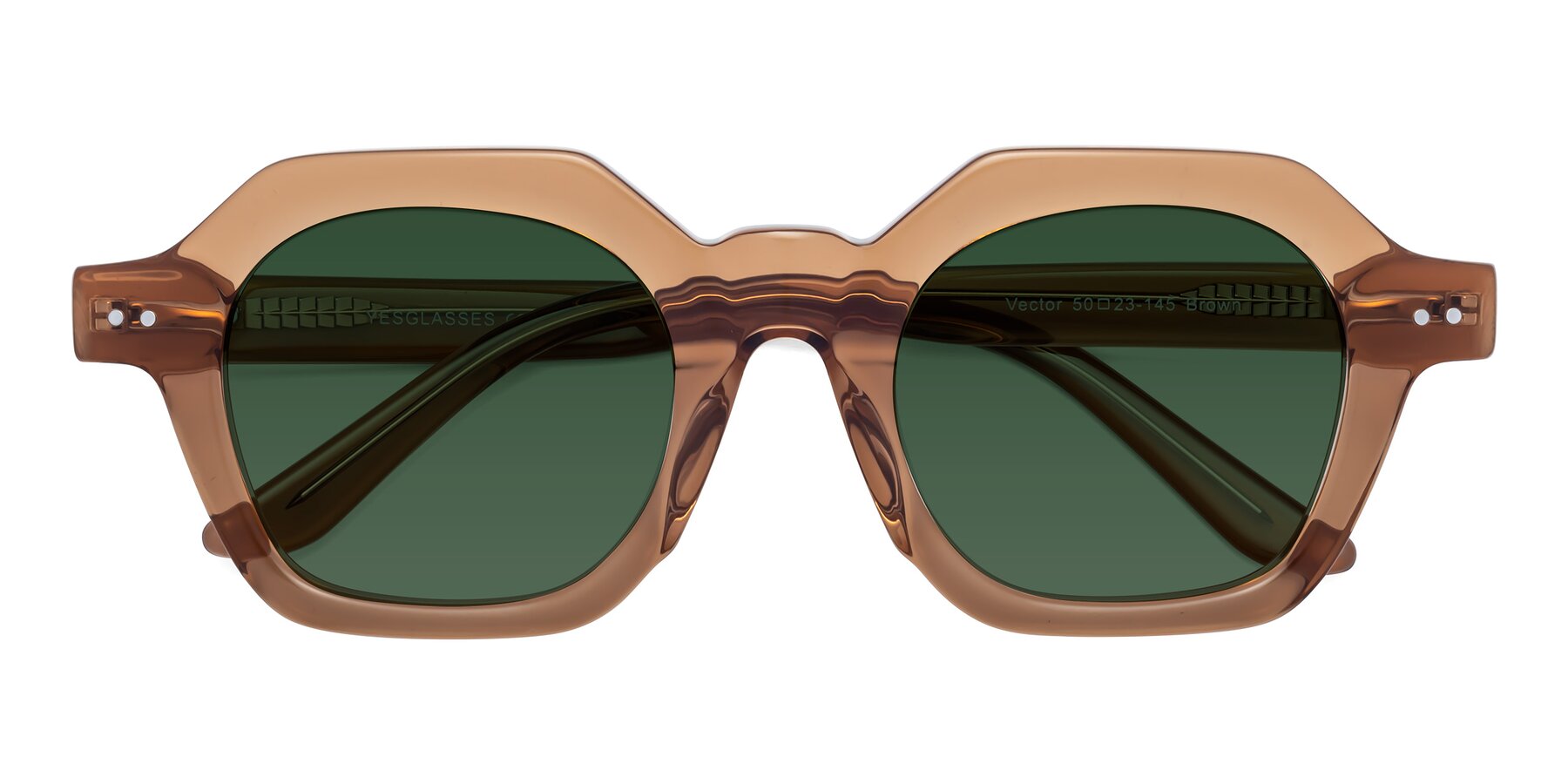 Folded Front of Vector in Brown with Green Tinted Lenses