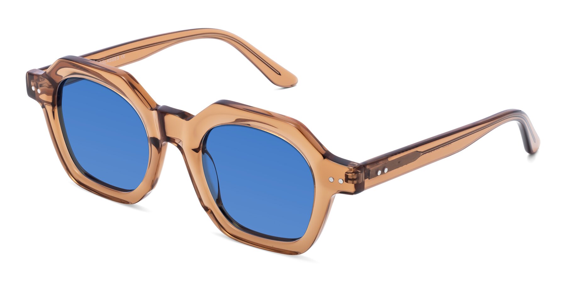 Angle of Vector in Brown with Blue Tinted Lenses