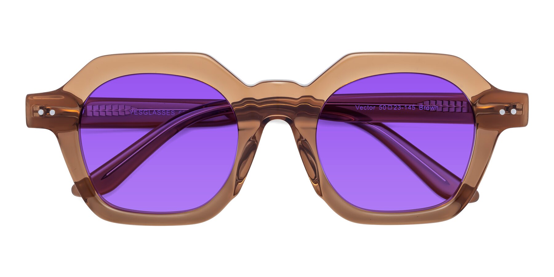 Folded Front of Vector in Brown with Purple Tinted Lenses