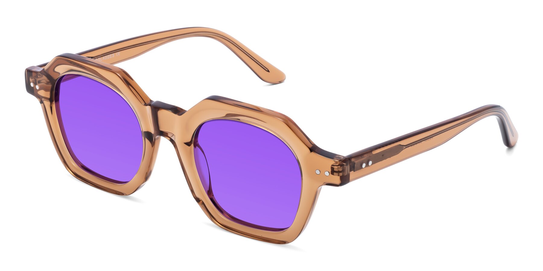 Angle of Vector in Brown with Purple Tinted Lenses