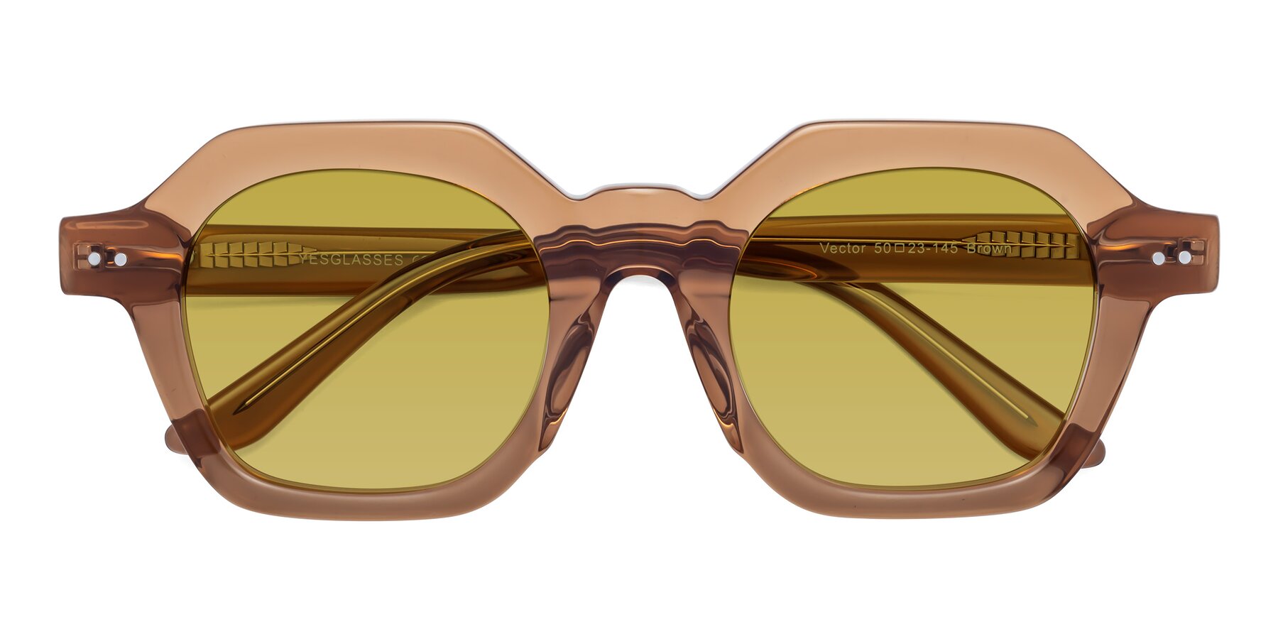 Folded Front of Vector in Brown with Champagne Tinted Lenses
