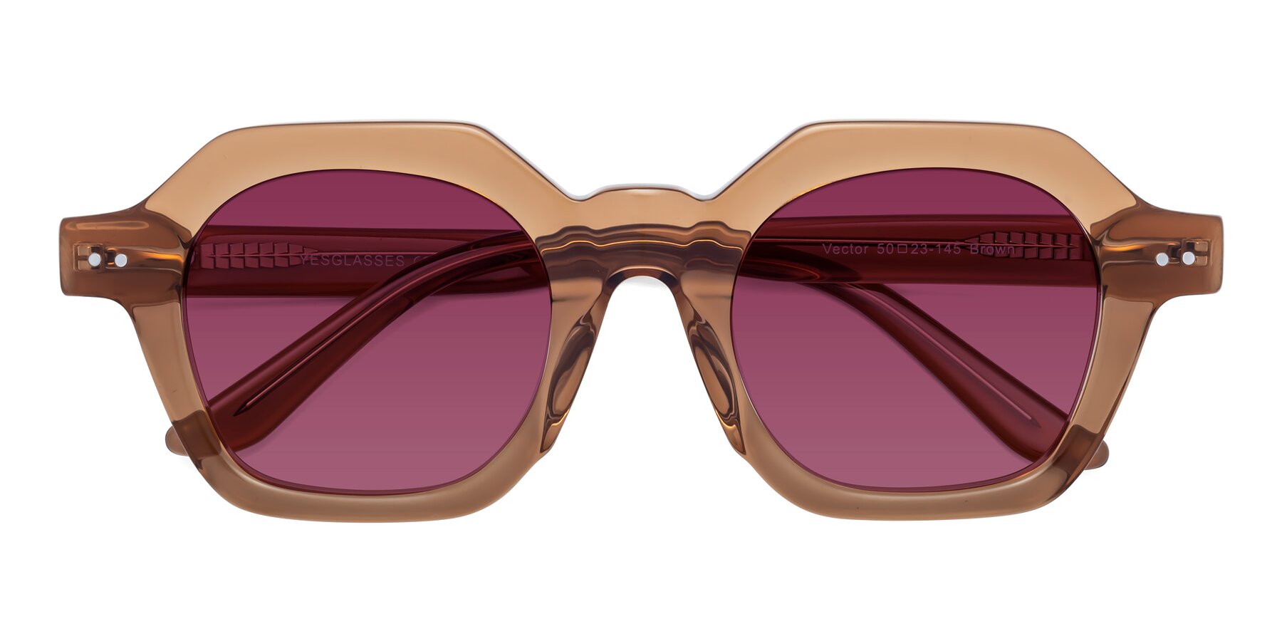 Folded Front of Vector in Brown with Wine Tinted Lenses