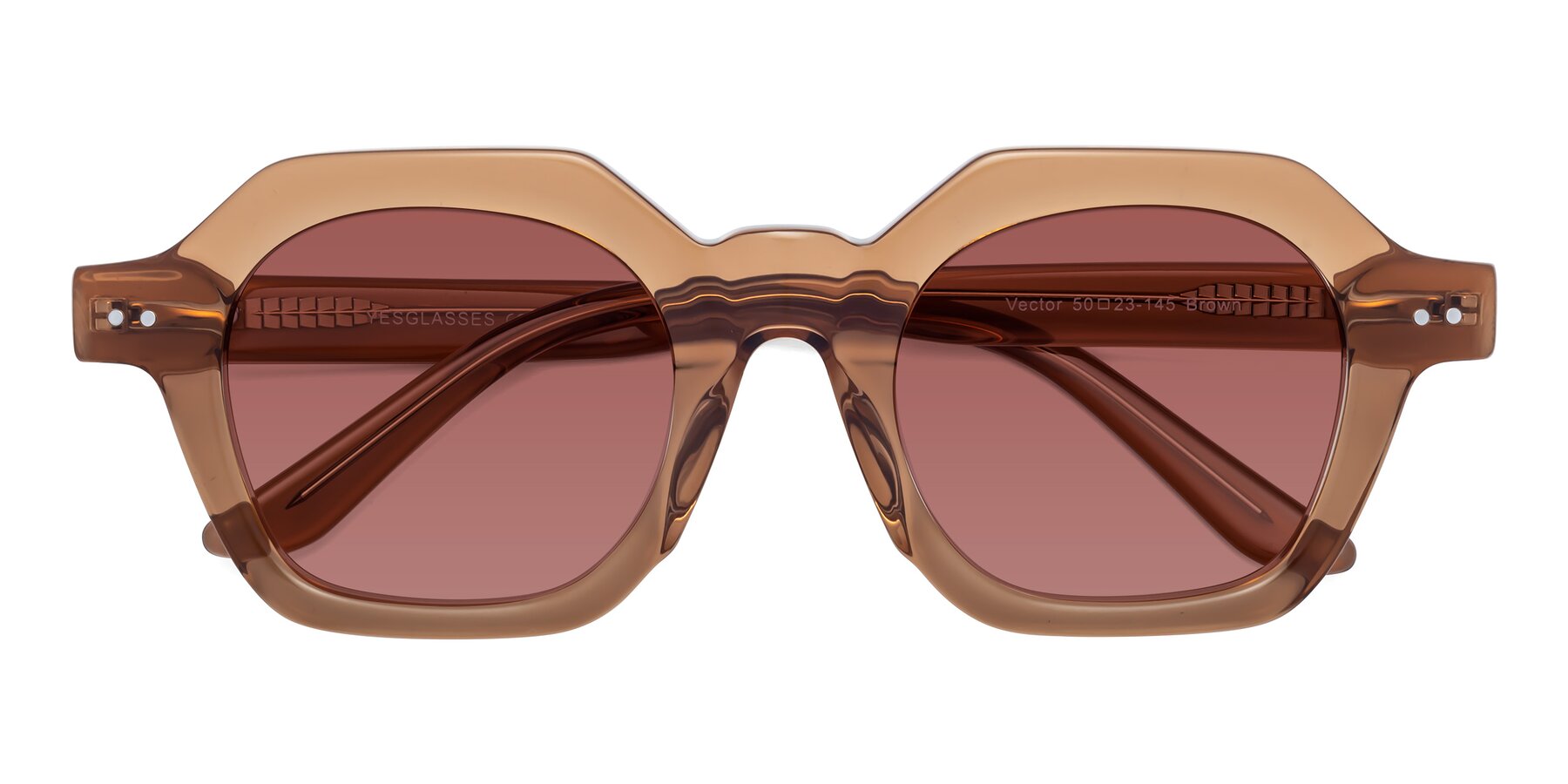 Folded Front of Vector in Brown with Garnet Tinted Lenses