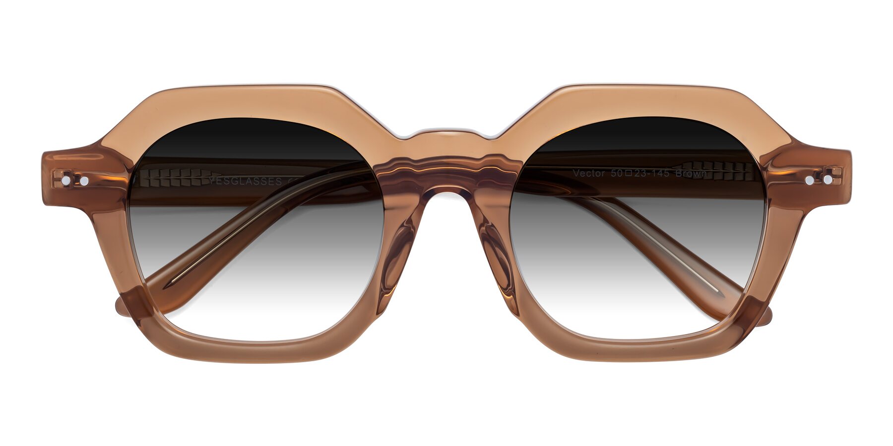 Folded Front of Vector in Brown with Gray Gradient Lenses