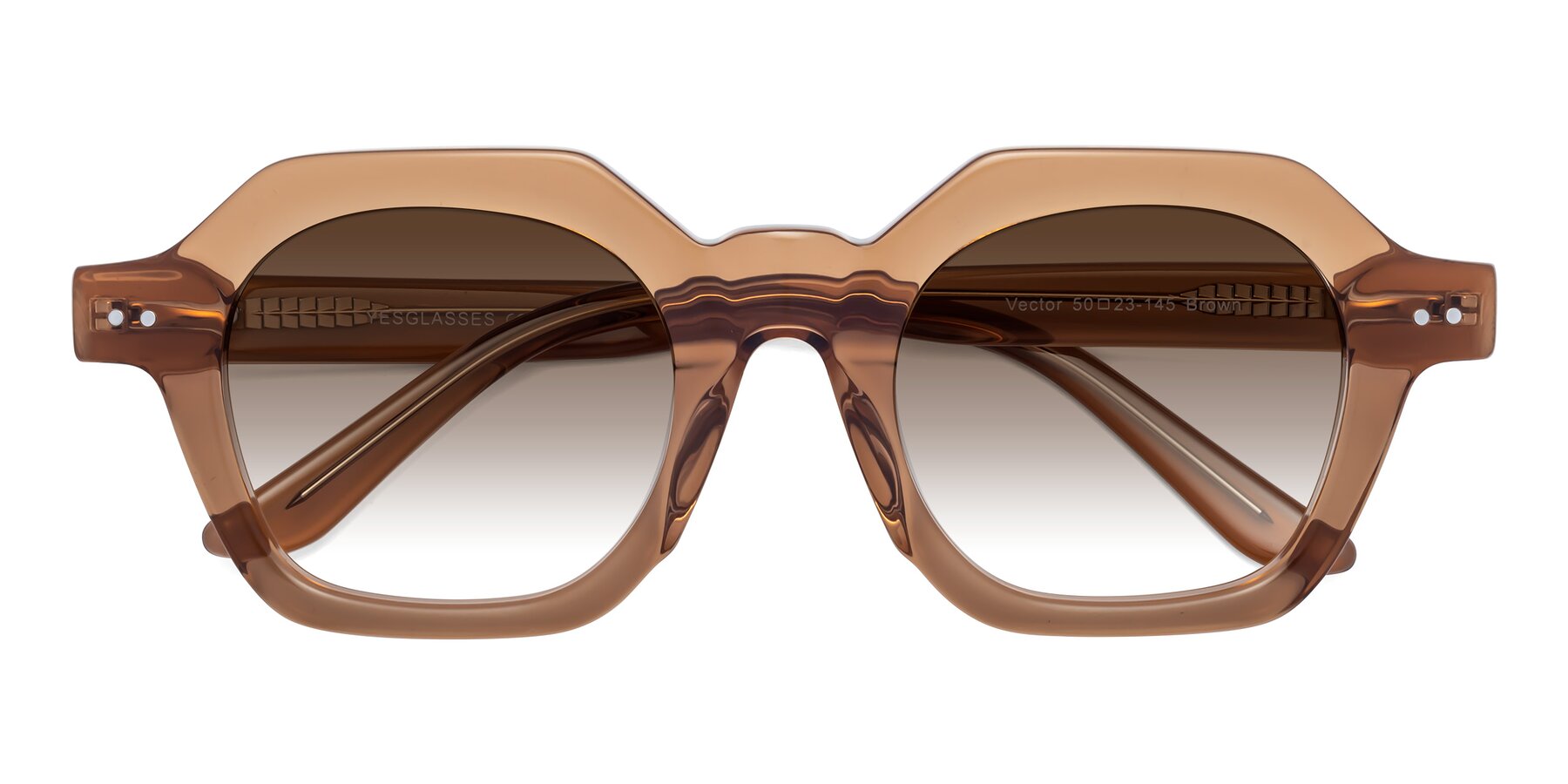 Folded Front of Vector in Brown with Brown Gradient Lenses