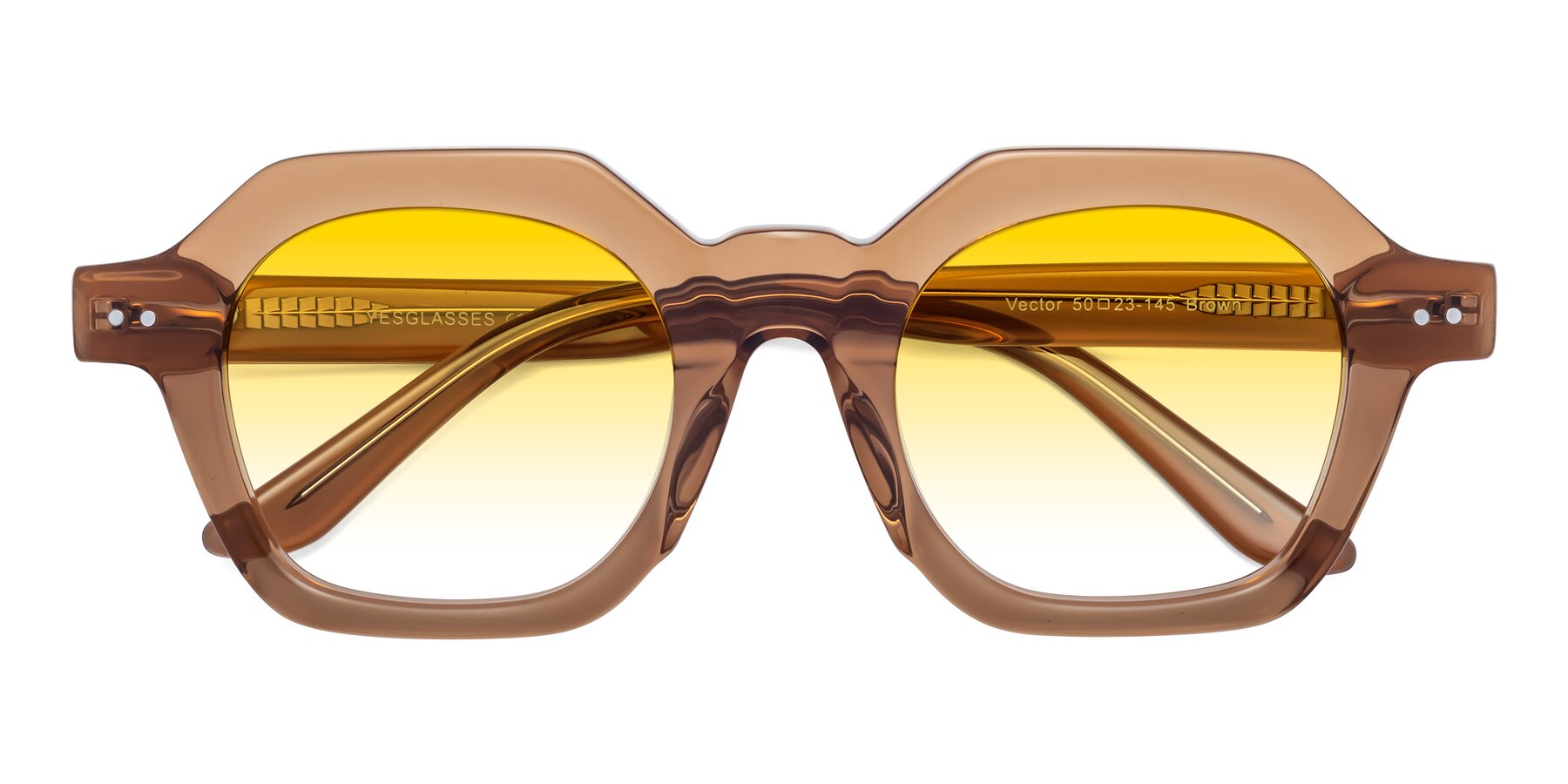 Folded Front of Vector in Brown with Yellow Gradient Lenses