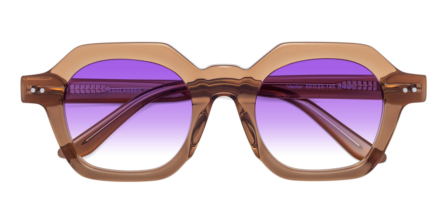 Folded Front of Vector in Brown with Purple Gradient Lenses