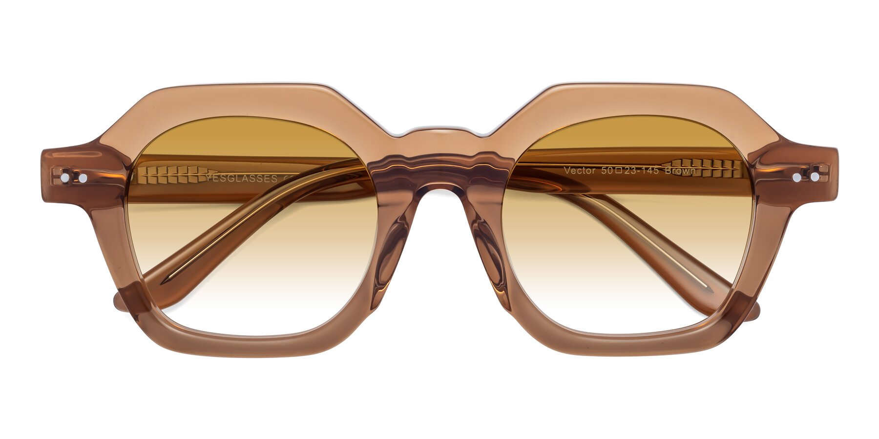 Folded Front of Vector in Brown with Champagne Gradient Lenses