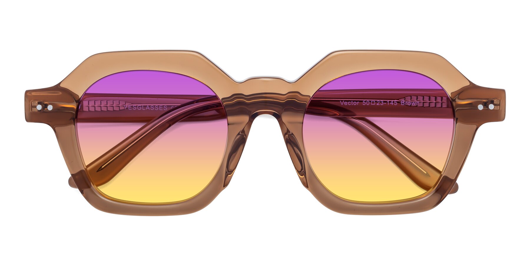 Folded Front of Vector in Brown with Purple / Yellow Gradient Lenses