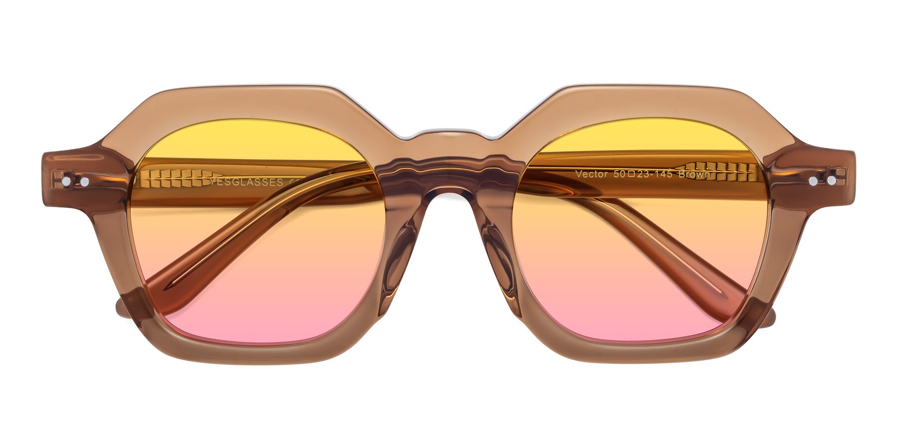 Folded Front of Vector in Brown with Yellow / Pink Gradient Lenses