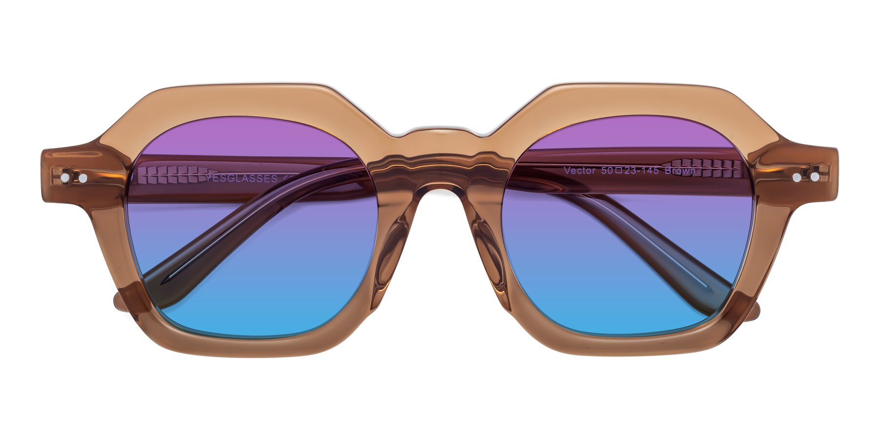 Folded Front of Vector in Brown with Purple / Blue Gradient Lenses