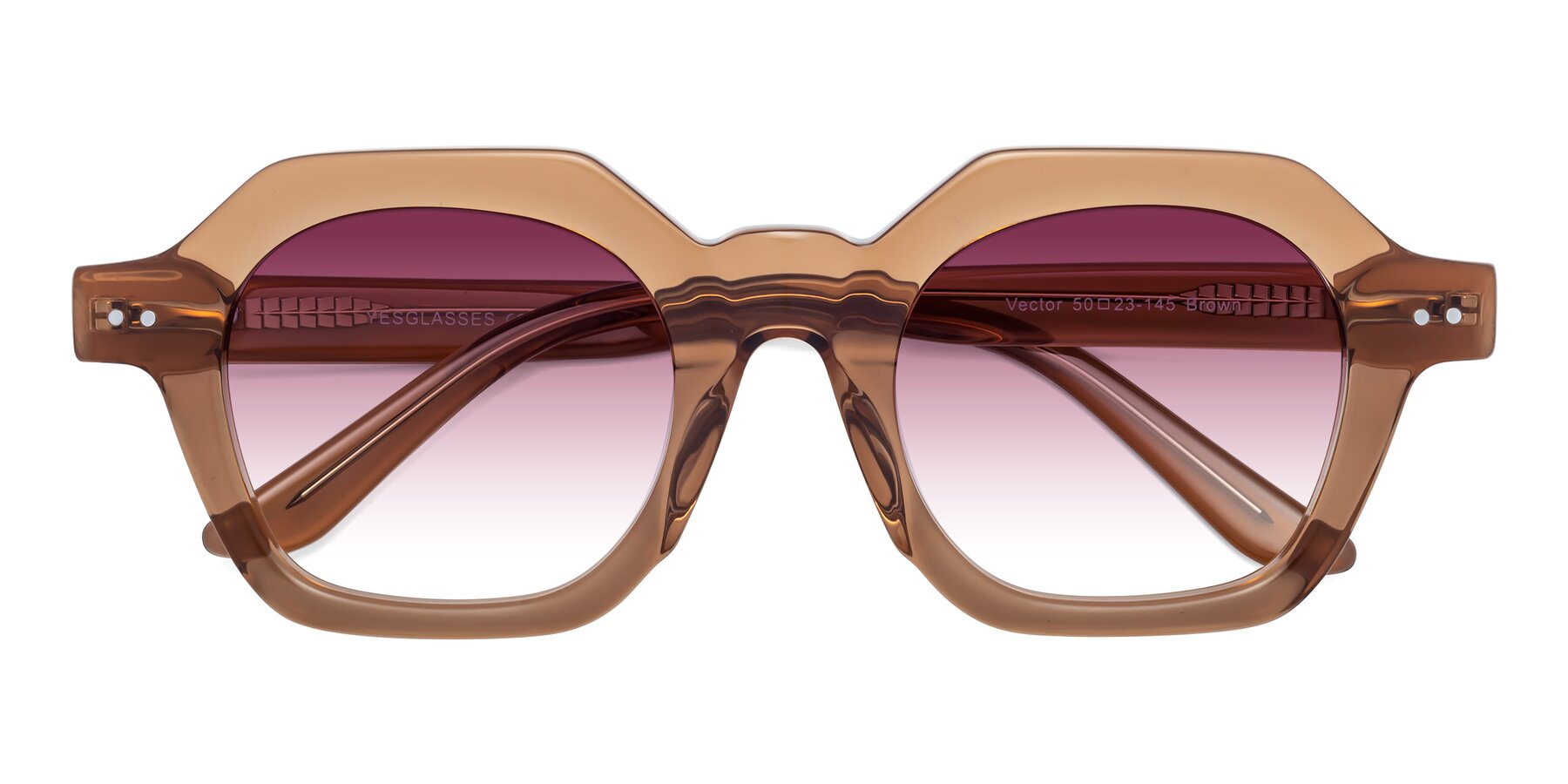 Folded Front of Vector in Brown with Wine Gradient Lenses