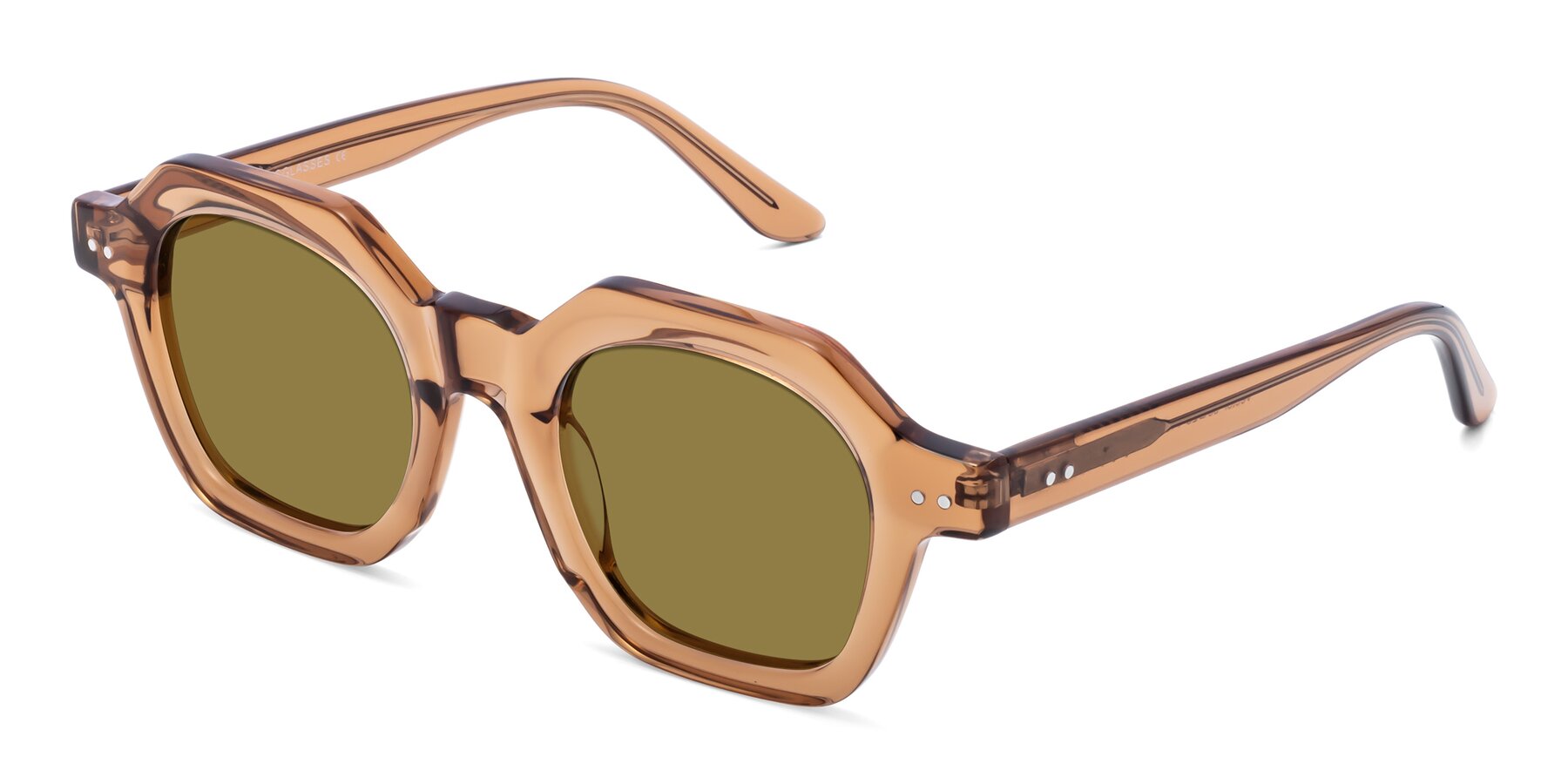 Angle of Vector in Brown with Brown Polarized Lenses