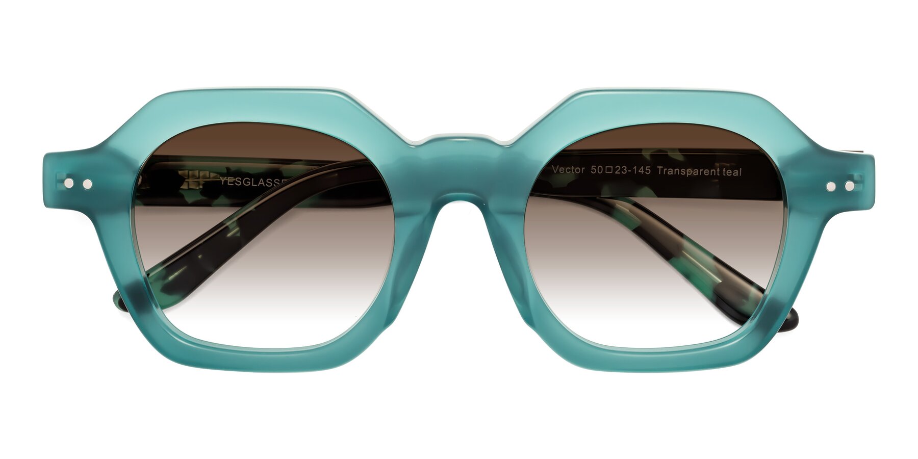 Folded Front of Vector in Transparent Teal with Brown Gradient Lenses