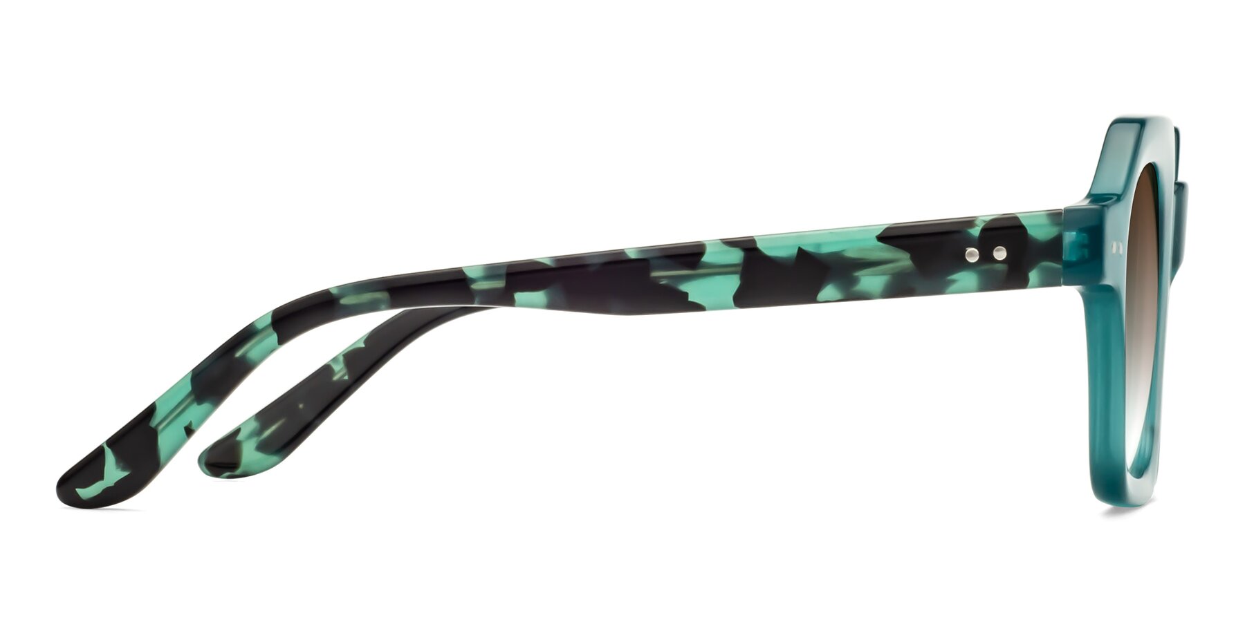 Side of Vector in Transparent Teal with Brown Gradient Lenses