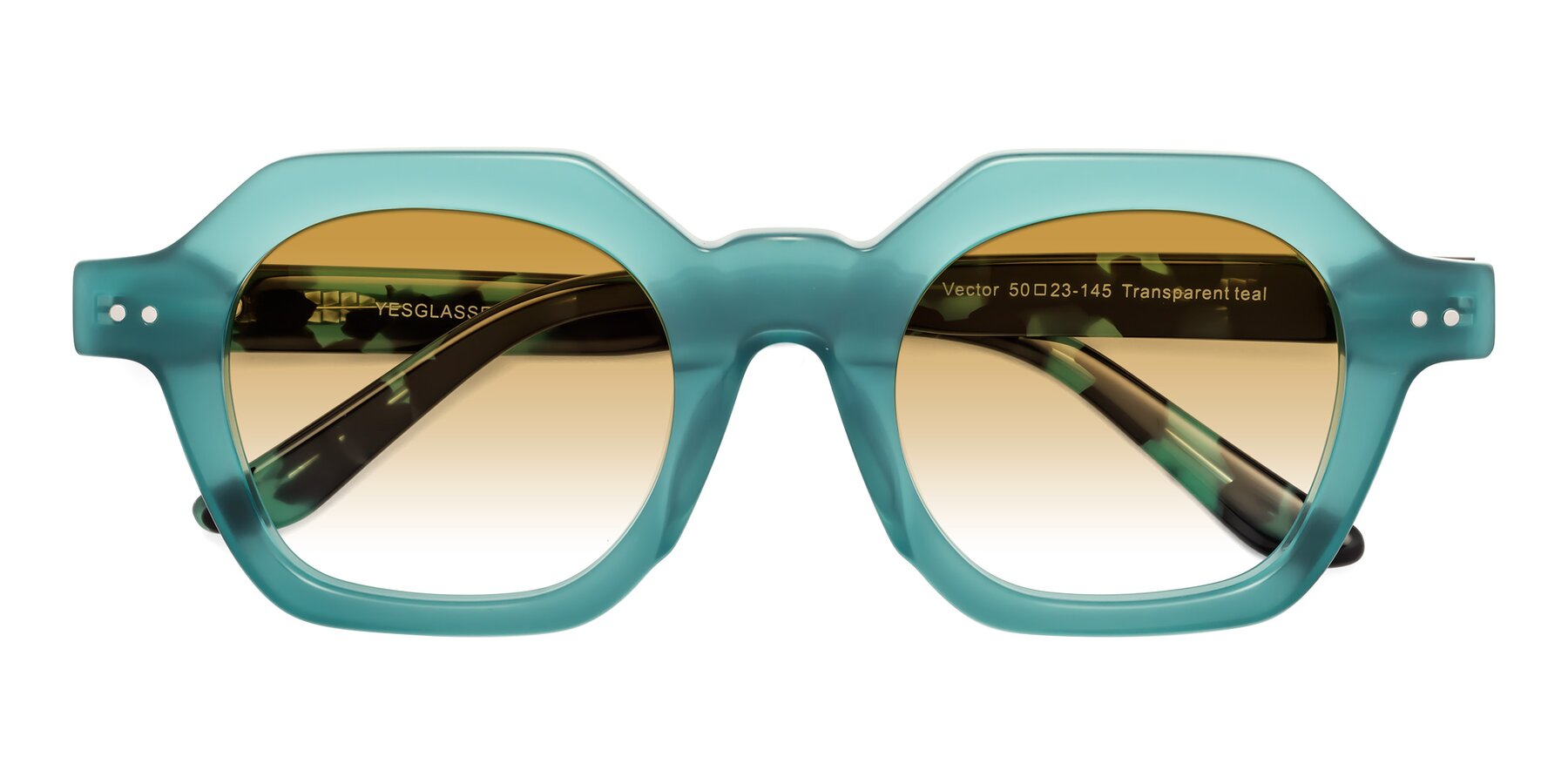 Folded Front of Vector in Transparent Teal with Champagne Gradient Lenses
