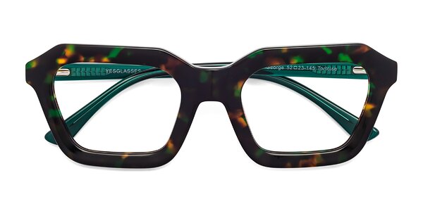 Front of George in Green Tortoise
