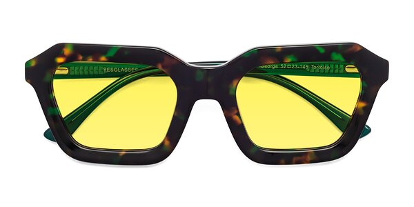 Front of George in Green Tortoise