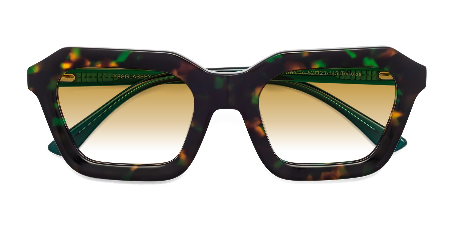 Folded Front of George in Green Tortoise with Champagne Gradient Lenses