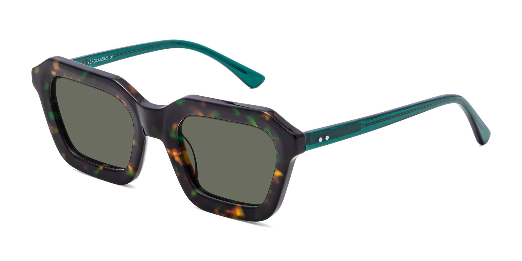 Angle of George in Green Tortoise with Gray Polarized Lenses