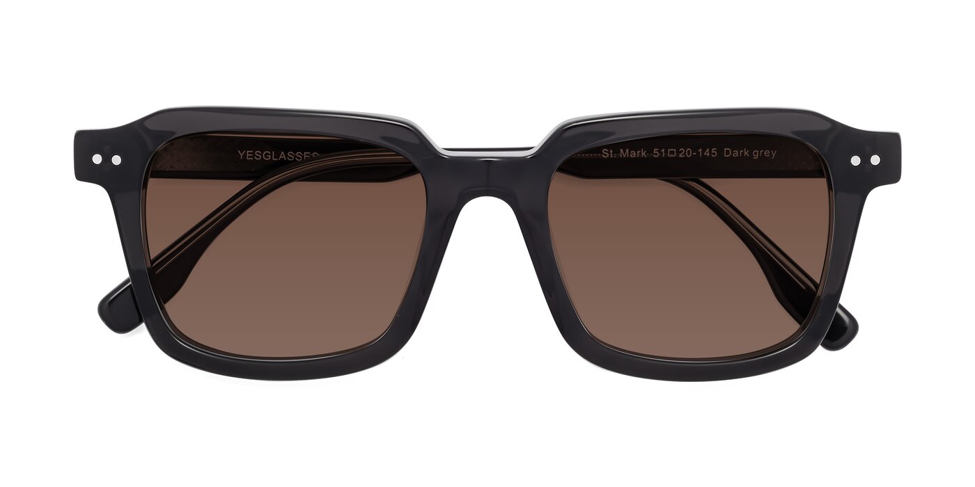 St. Mark - Dark Gray Tinted Sunglasses
