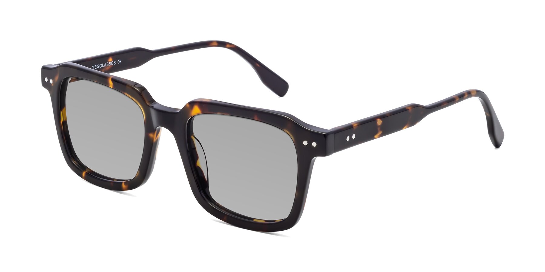 Angle of St. Mark in Tortoise with Light Gray Tinted Lenses