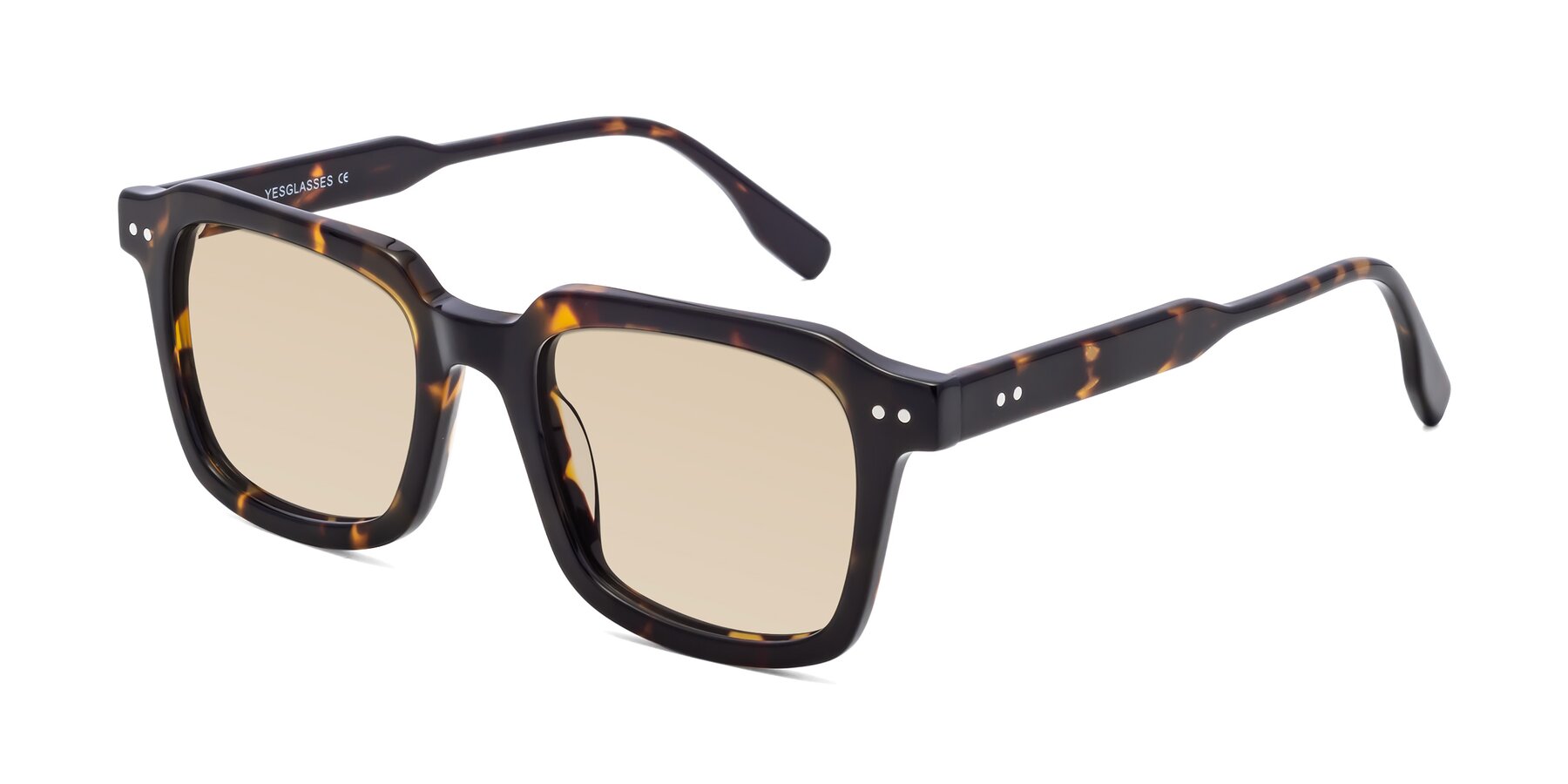 Angle of St. Mark in Tortoise with Light Brown Tinted Lenses
