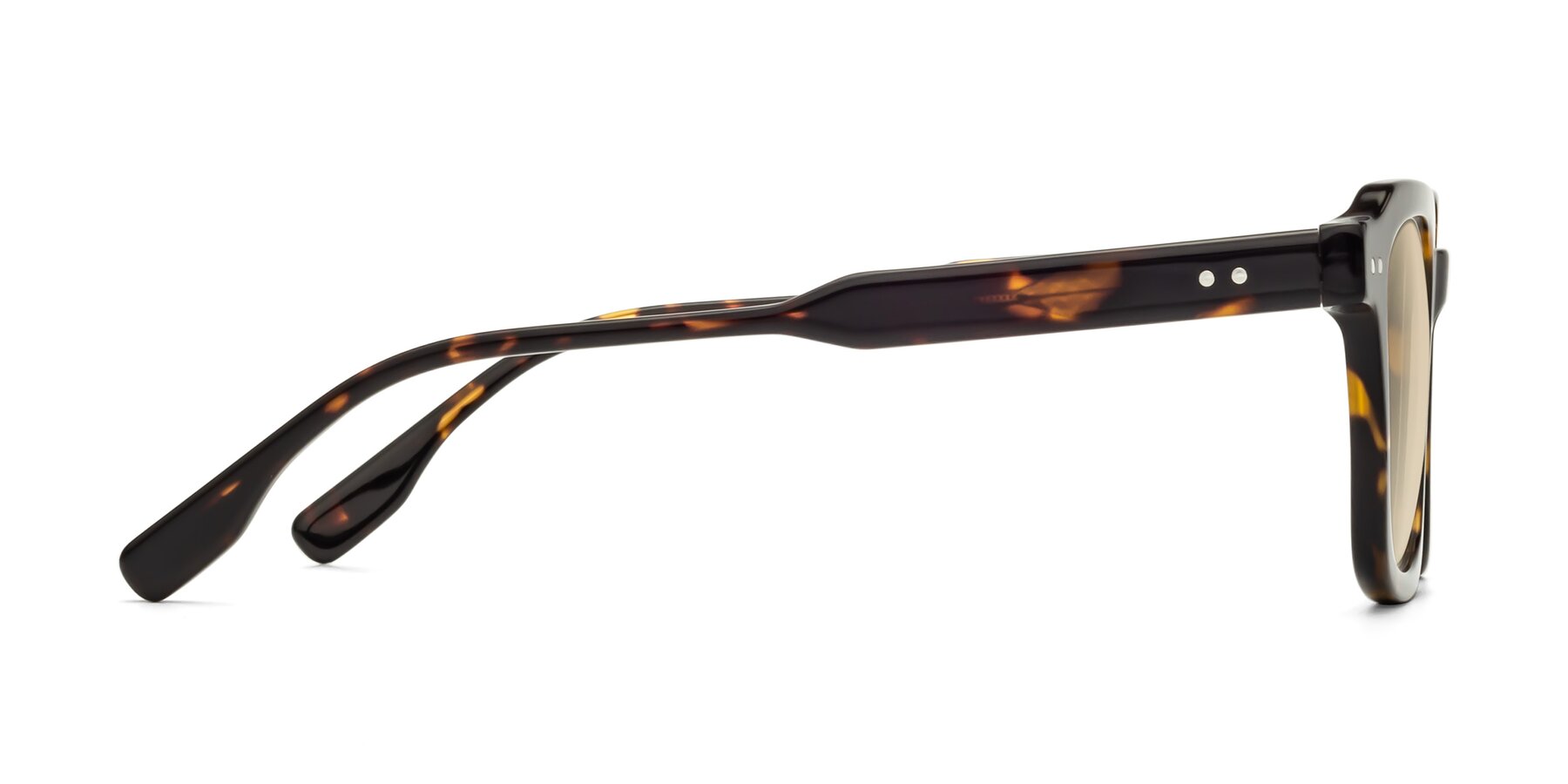 Side of St. Mark in Tortoise with Light Brown Tinted Lenses