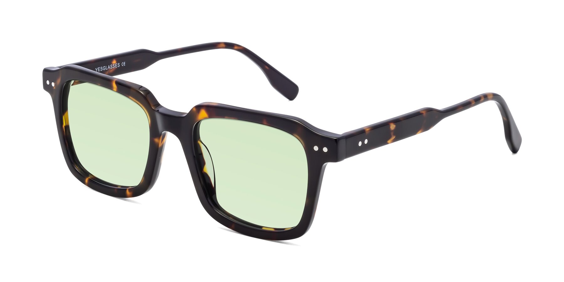 Angle of St. Mark in Tortoise with Light Green Tinted Lenses