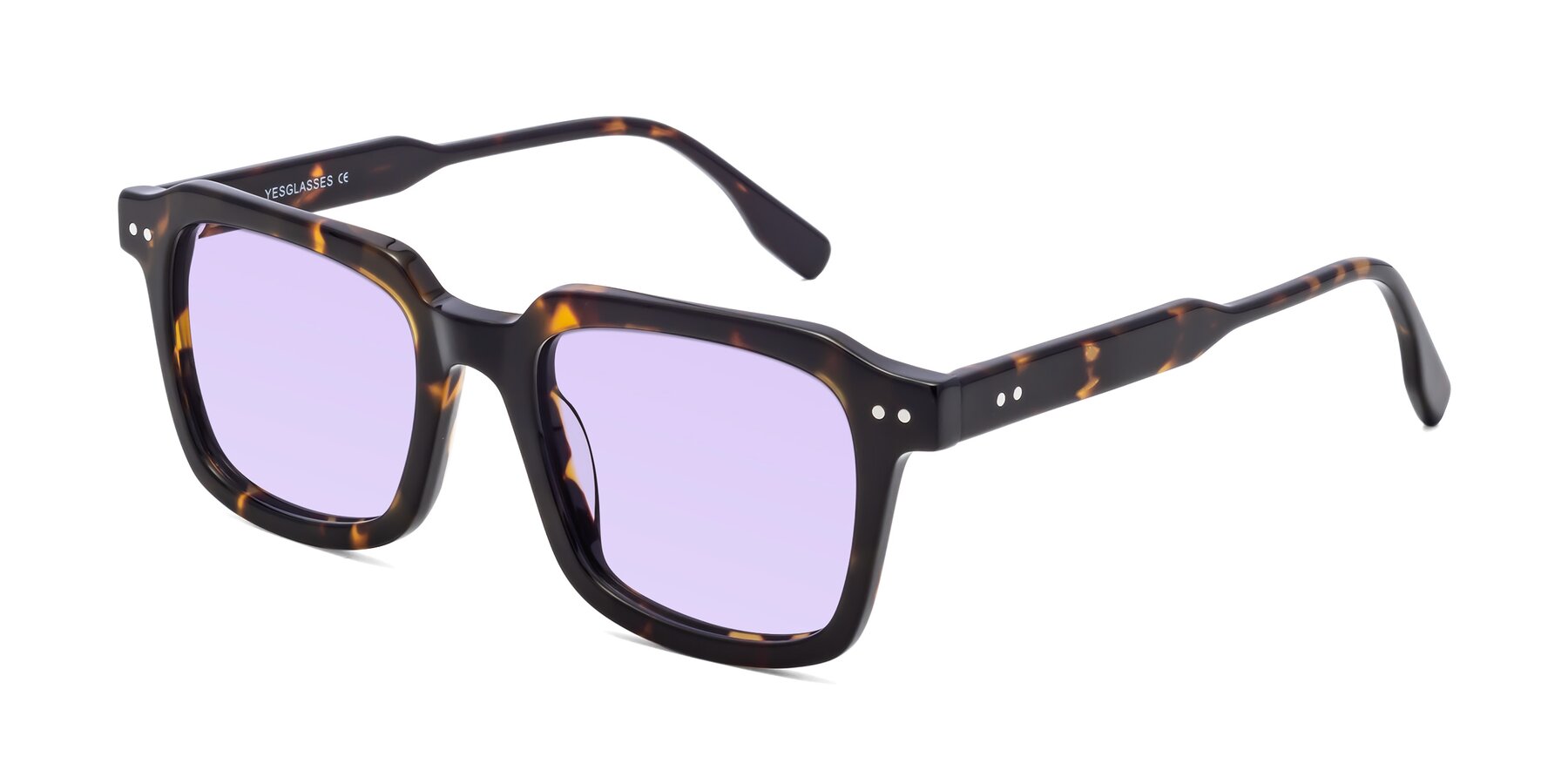 Angle of St. Mark in Tortoise with Light Purple Tinted Lenses