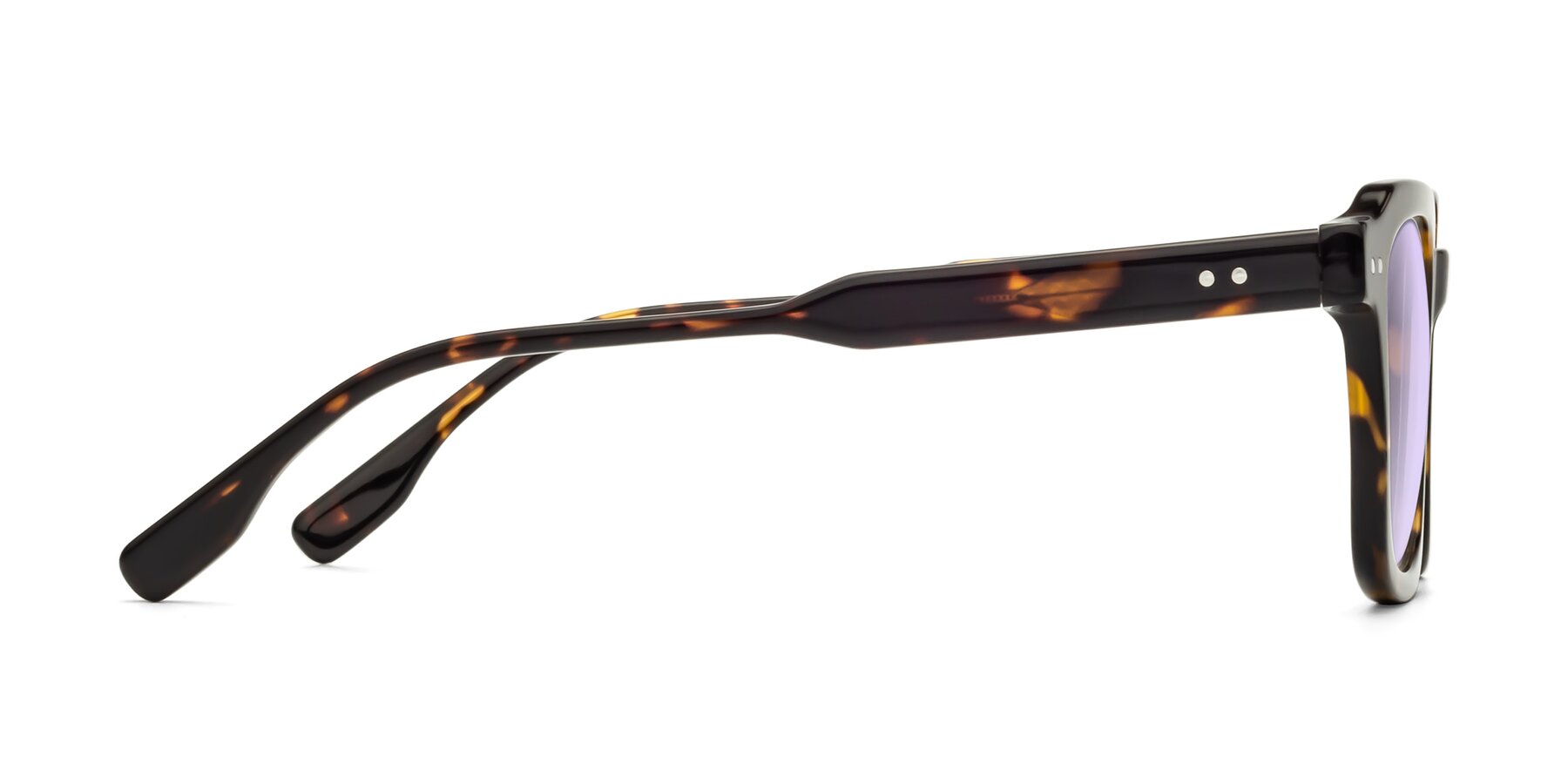 Side of St. Mark in Tortoise with Light Purple Tinted Lenses