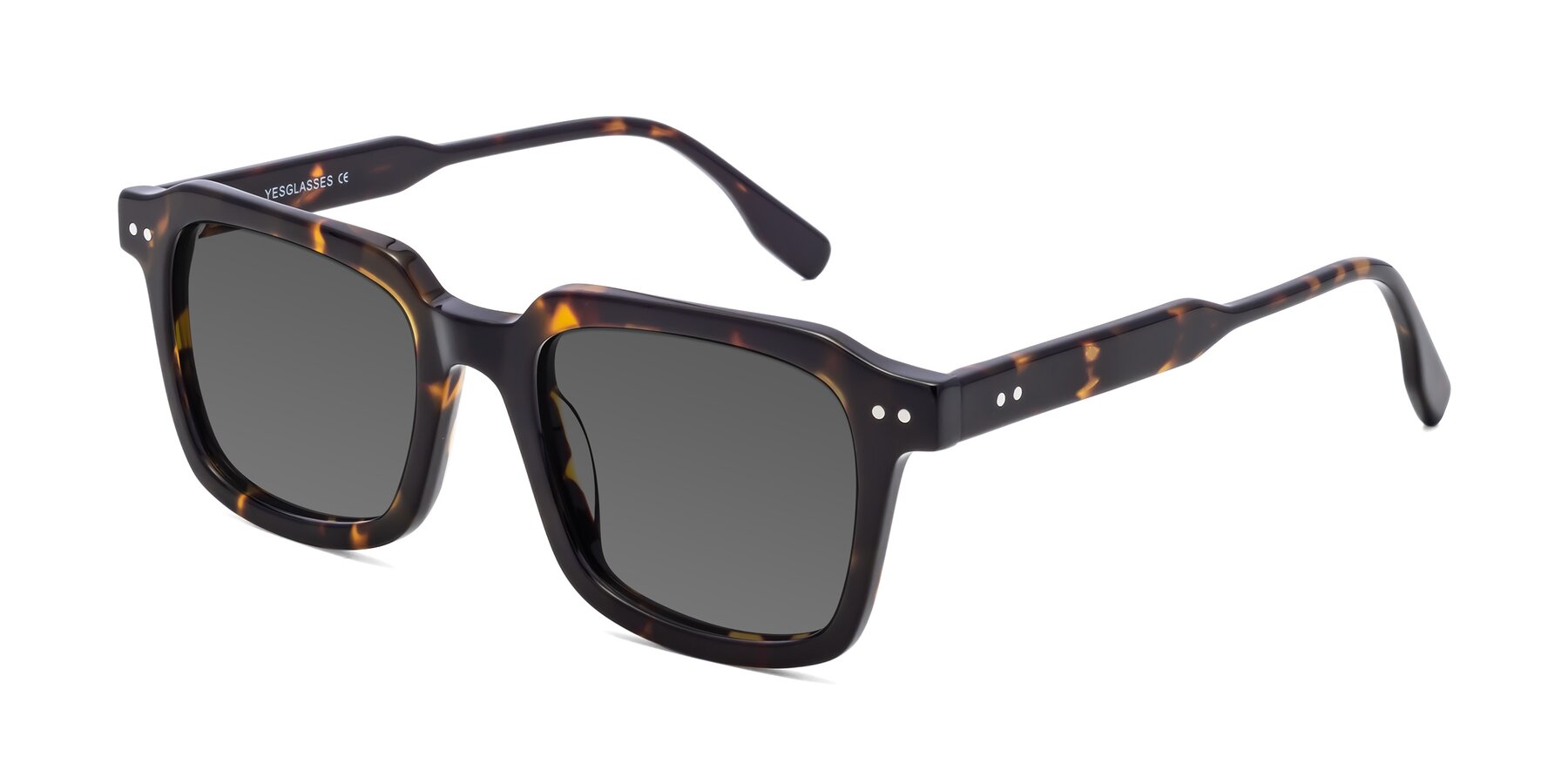 Angle of St. Mark in Tortoise with Medium Gray Tinted Lenses