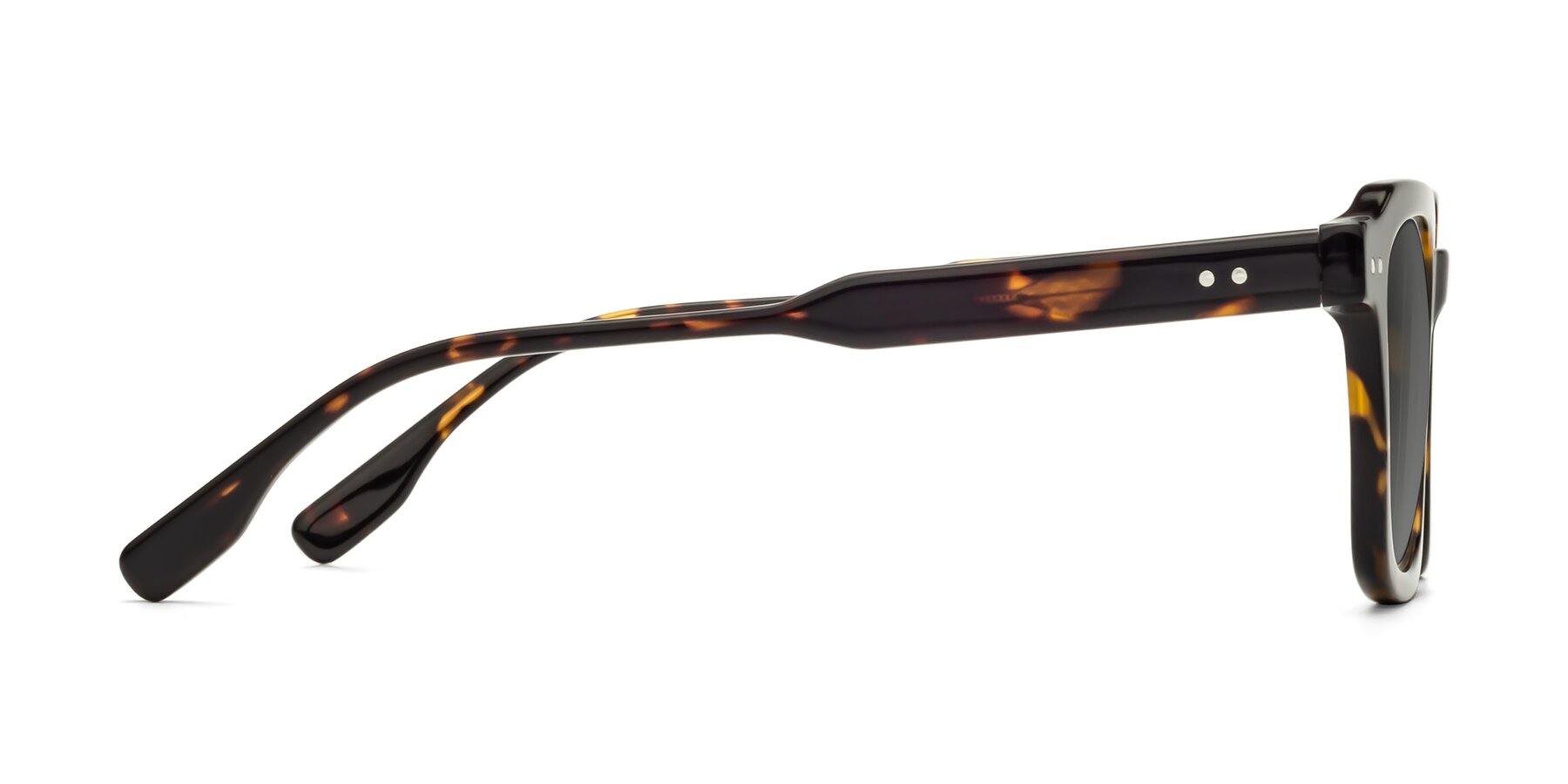 Side of St. Mark in Tortoise with Medium Gray Tinted Lenses