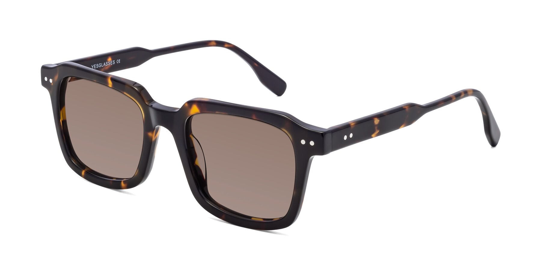 Angle of St. Mark in Tortoise with Medium Brown Tinted Lenses