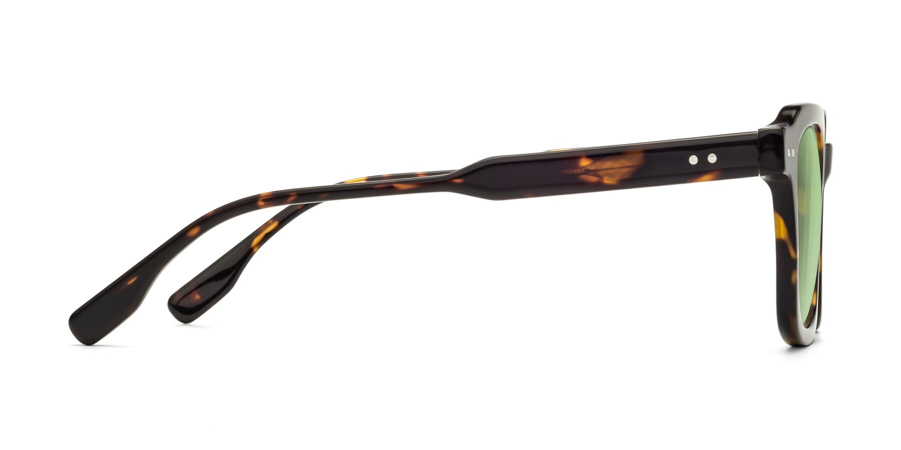 Side of St. Mark in Tortoise with Medium Green Tinted Lenses