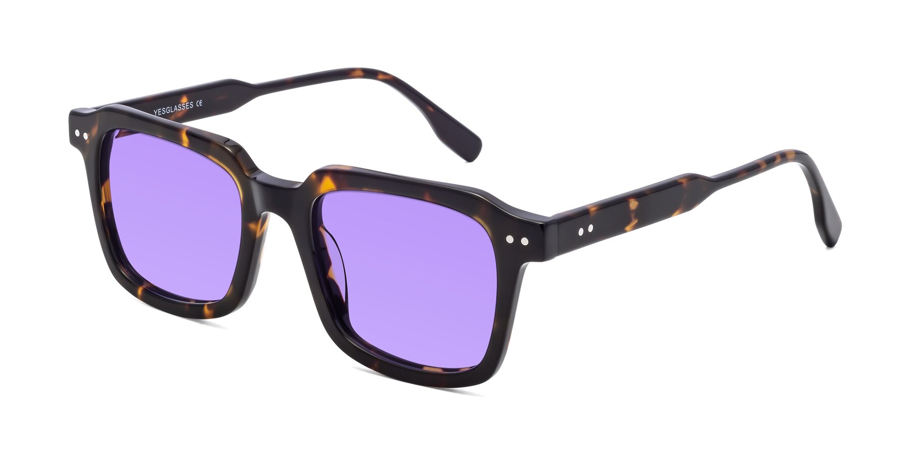 Angle of St. Mark in Tortoise with Medium Purple Tinted Lenses