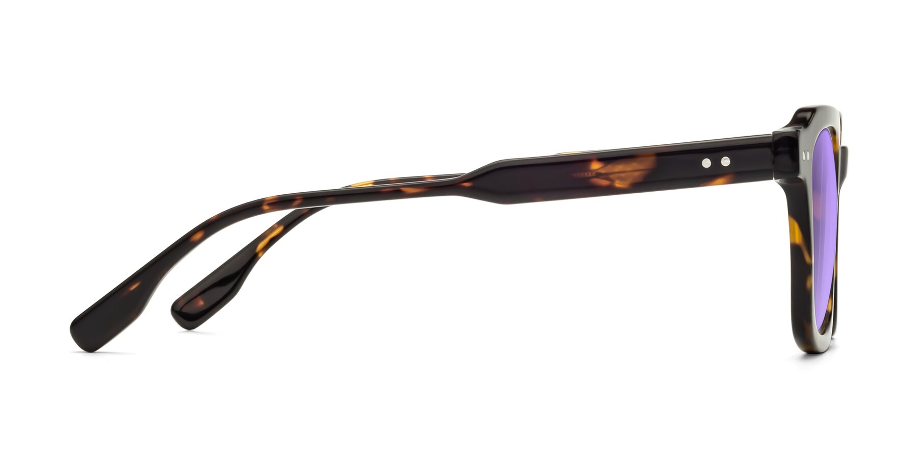 Side of St. Mark in Tortoise with Medium Purple Tinted Lenses