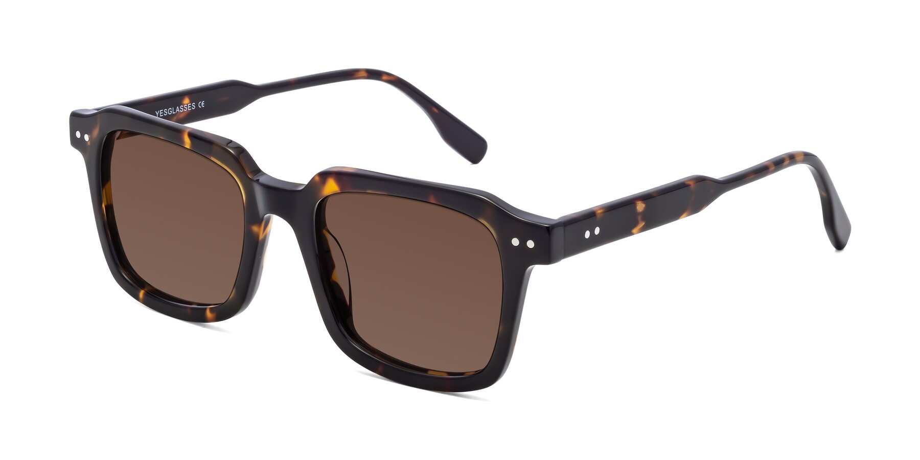 Angle of St. Mark in Tortoise with Brown Tinted Lenses