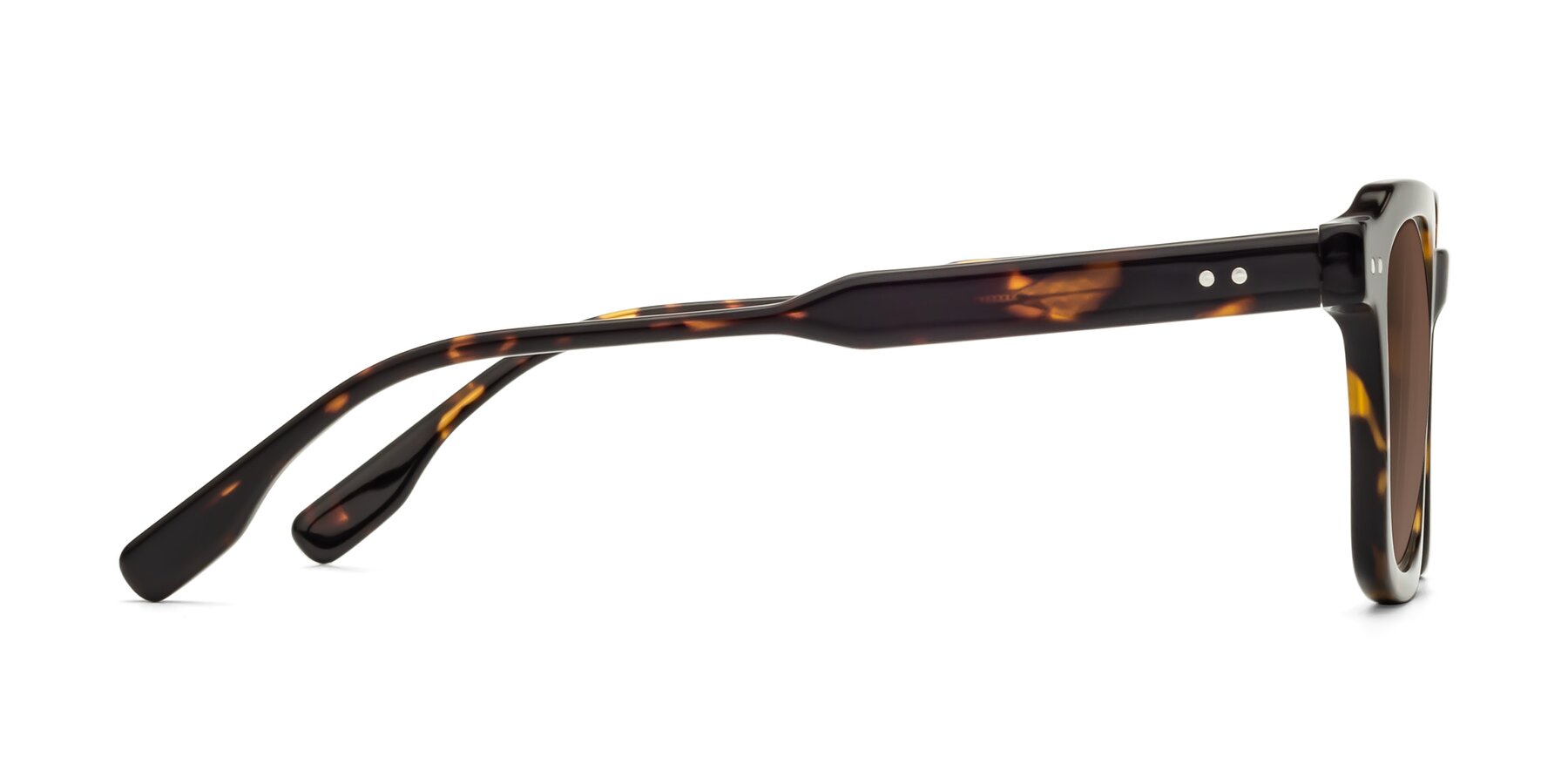 Side of St. Mark in Tortoise with Brown Tinted Lenses