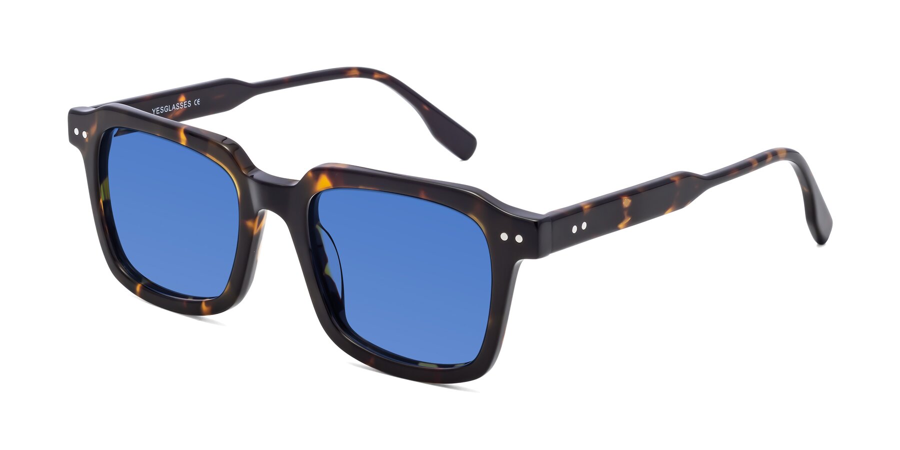 Angle of St. Mark in Tortoise with Blue Tinted Lenses