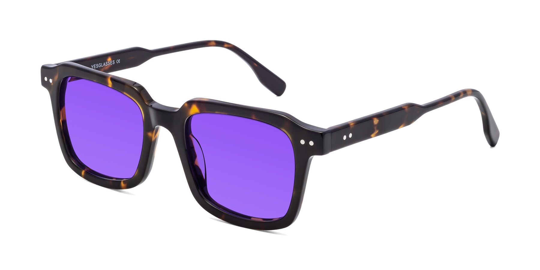 Angle of St. Mark in Tortoise with Purple Tinted Lenses