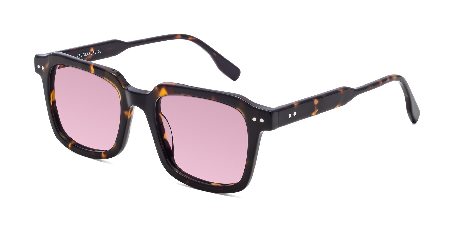 Angle of St. Mark in Tortoise with Light Wine Tinted Lenses